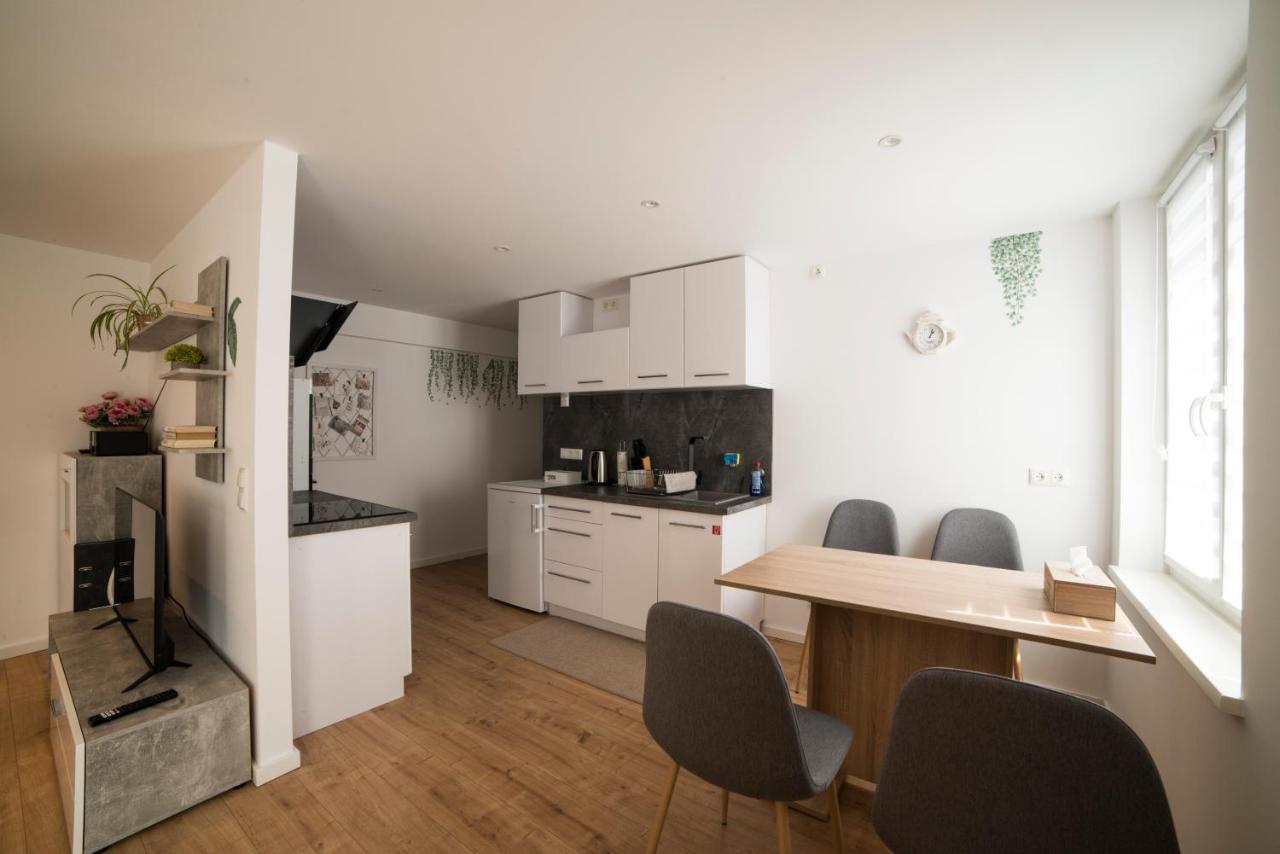 Schoene Ferienwohnung 54 M², Zentrumsnah, Kingbett エアフルト エクステリア 写真